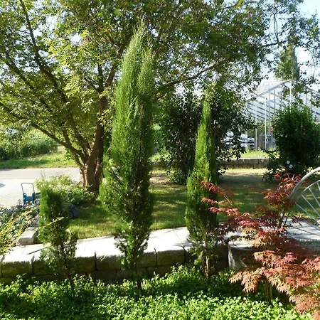 Xadayu Apartmán