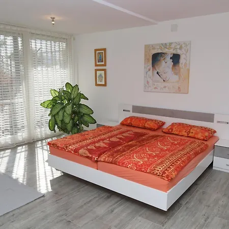 Xadayu רייכנאו