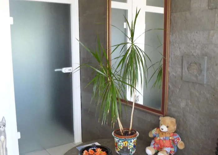 Xadayu Апартаменты