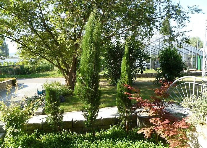 Xadayu Апартаменты